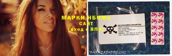 стаф Володарск