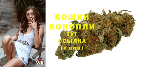 молекула духа Верея
