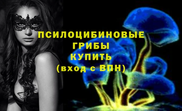 сатива Волосово