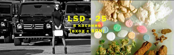 стаф Володарск