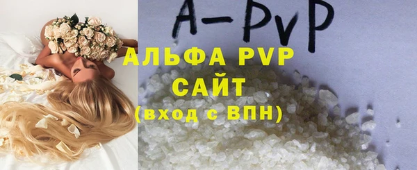 сатива Волосово