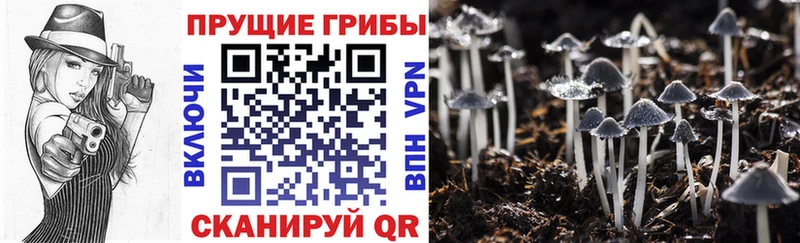 Псилоцибиновые грибы Magic Shrooms  блэк спрут вход  Батайск 